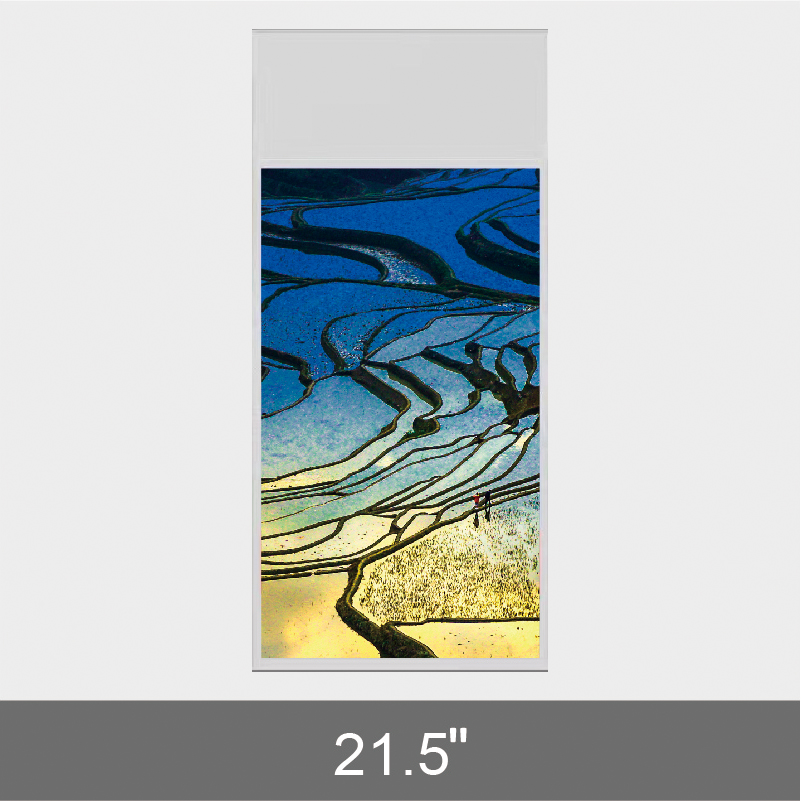 21.5” shop window  Ad Display  H231 Series