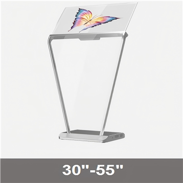 OLED Transparent Screen Display F261 Series