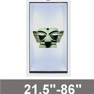 LCD Transparent Screen Display F262 Series