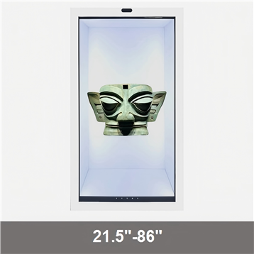 LCD Transparent Screen Display F262 Series